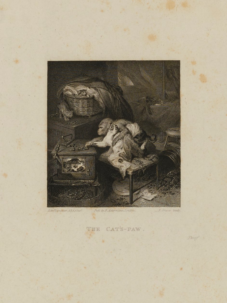 Die Katzenpfote von Robert Graves