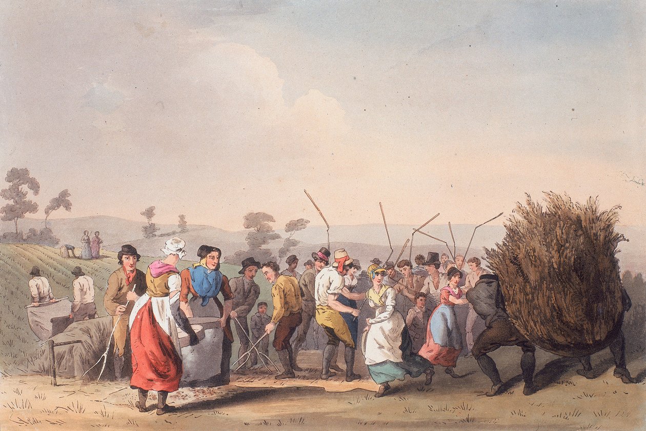 Rapsdreschen, 1. November 1813 von Robert Havell