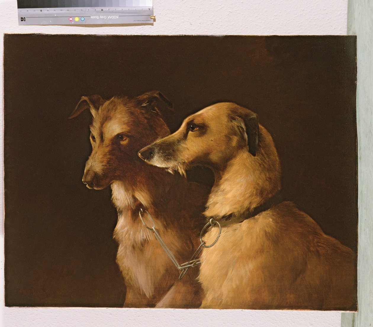 Hirschhunde von Robert Henry Roe