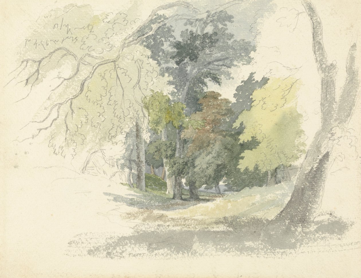 Eine Waldlichtung von Robert Hills