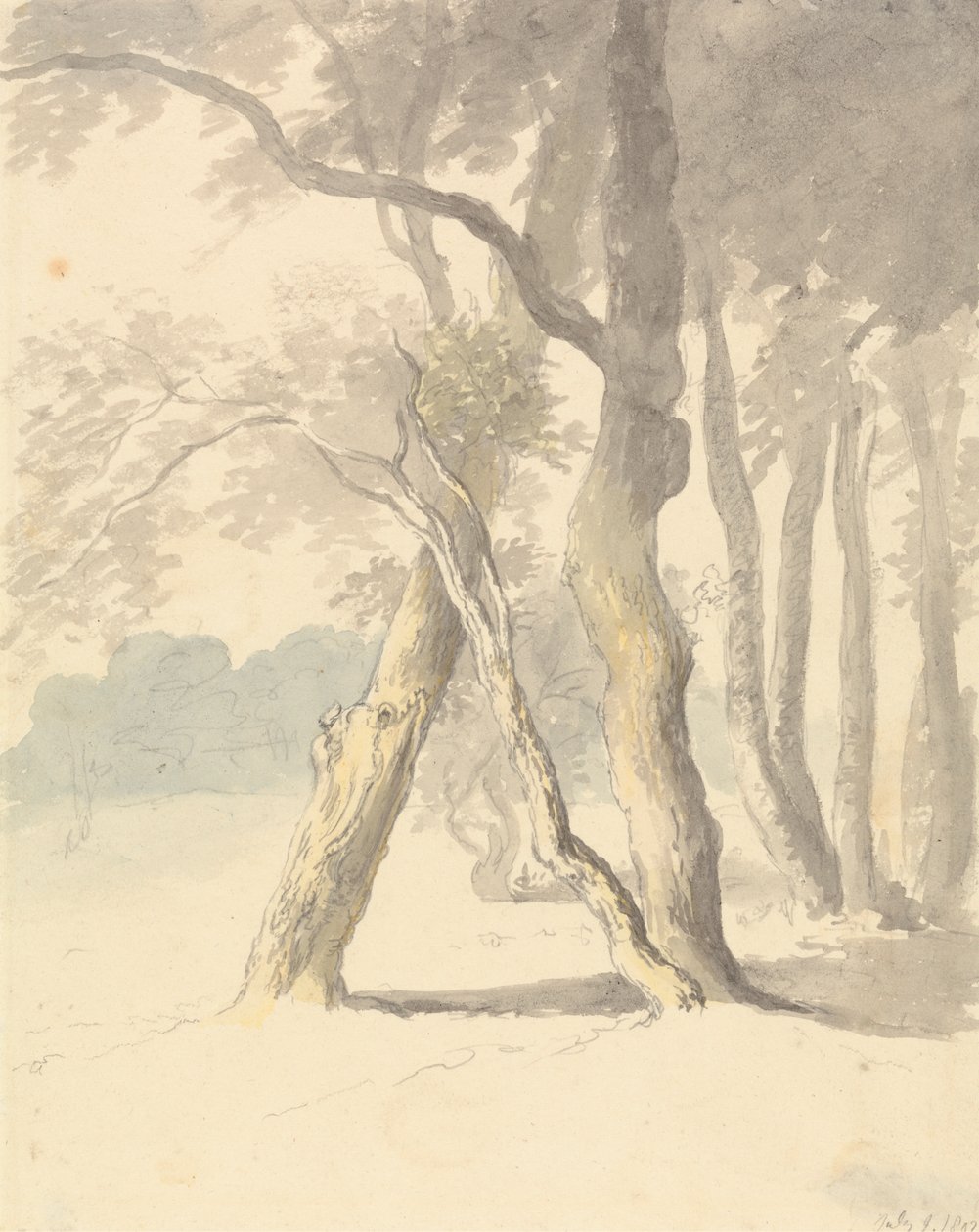 Waldstudie von Robert Hills