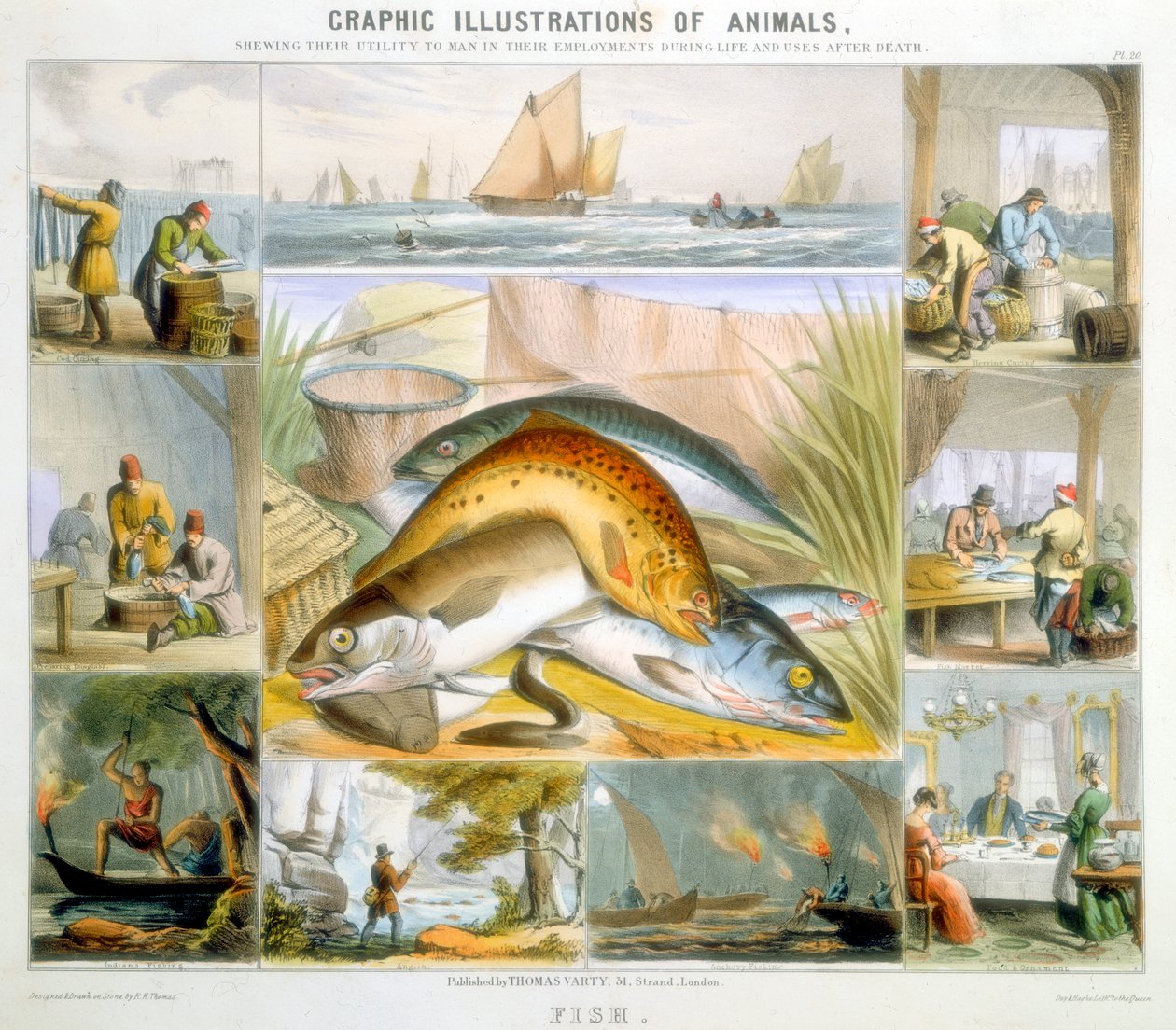 Fisch von Robert Kent Thomas