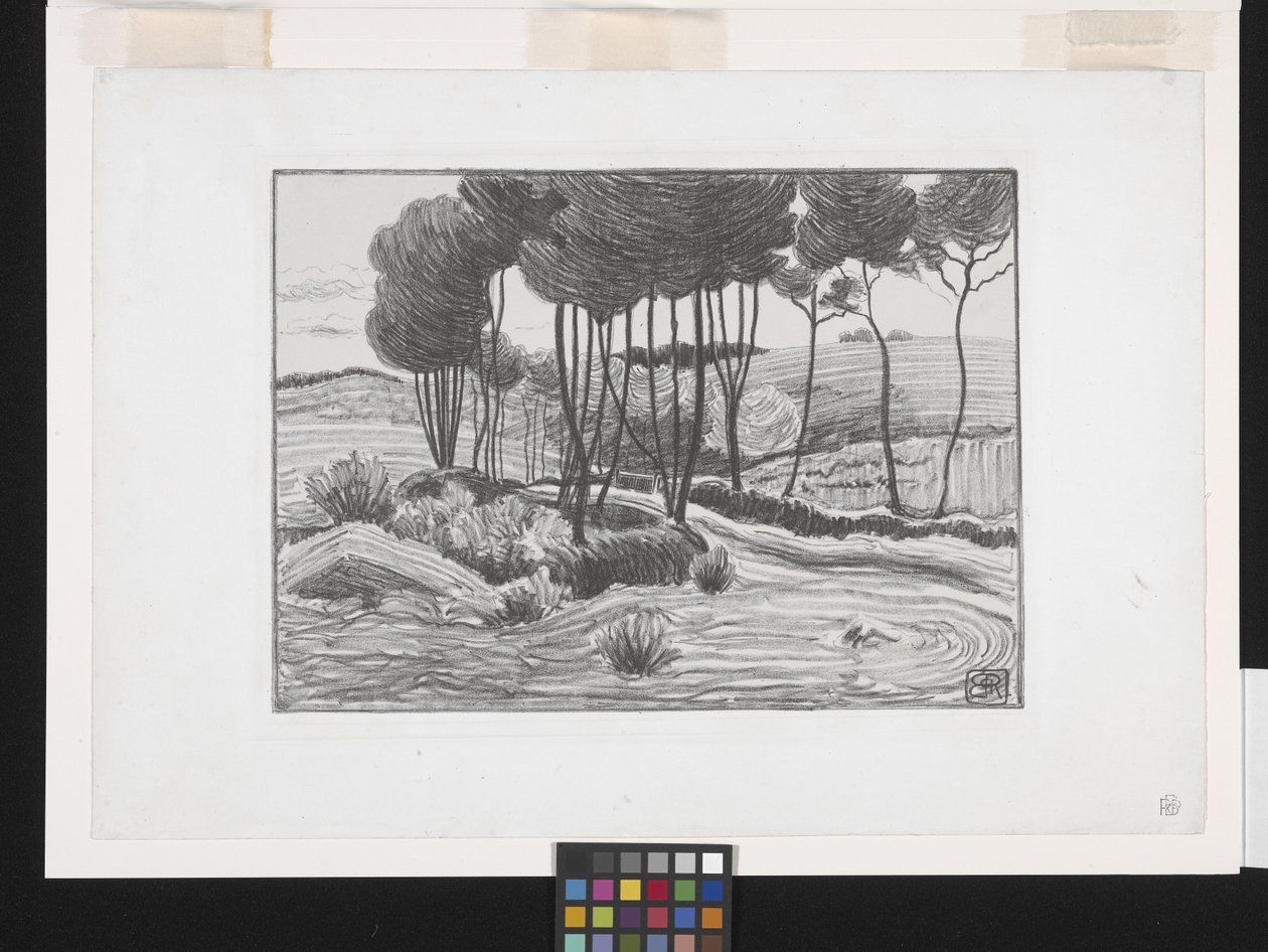 Die Pappeln von Robert Polhill Bevan