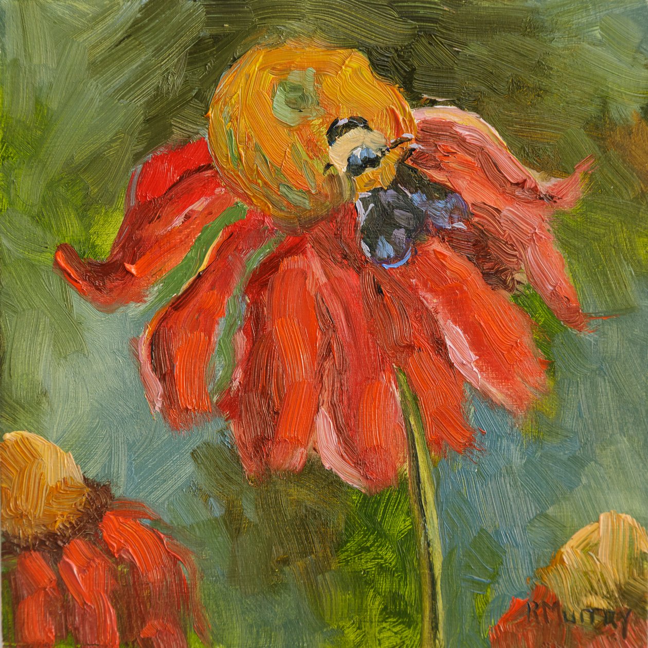 Kismet Sonnenhut, 2023 von Roberta Murray