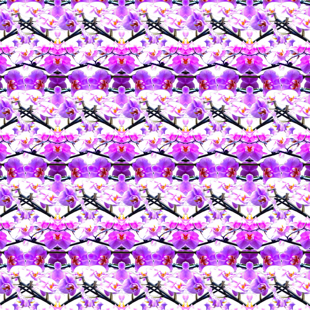 Lila Orchideenwiederholung von Robyn Parker