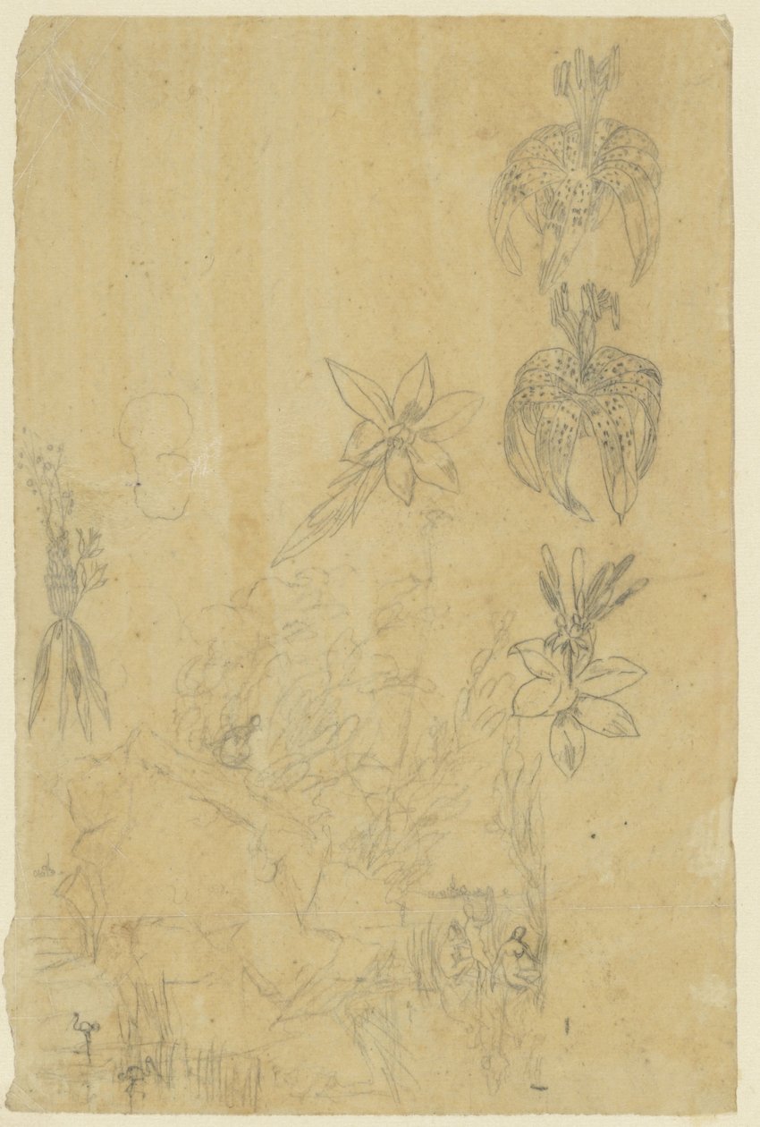 Blumenstudien und badende Frauen von Rodolphe Bresdin