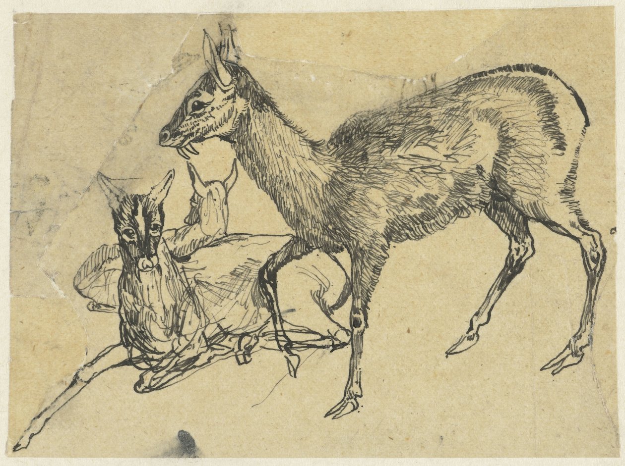 Drei Hirsche von Rodolphe Bresdin