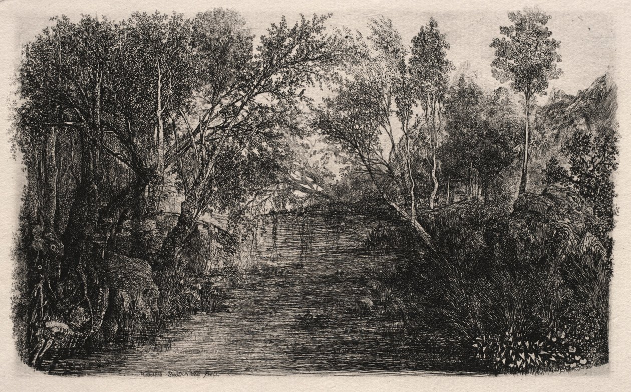 Der Bach, 1880 von Rodolphe Bresdin