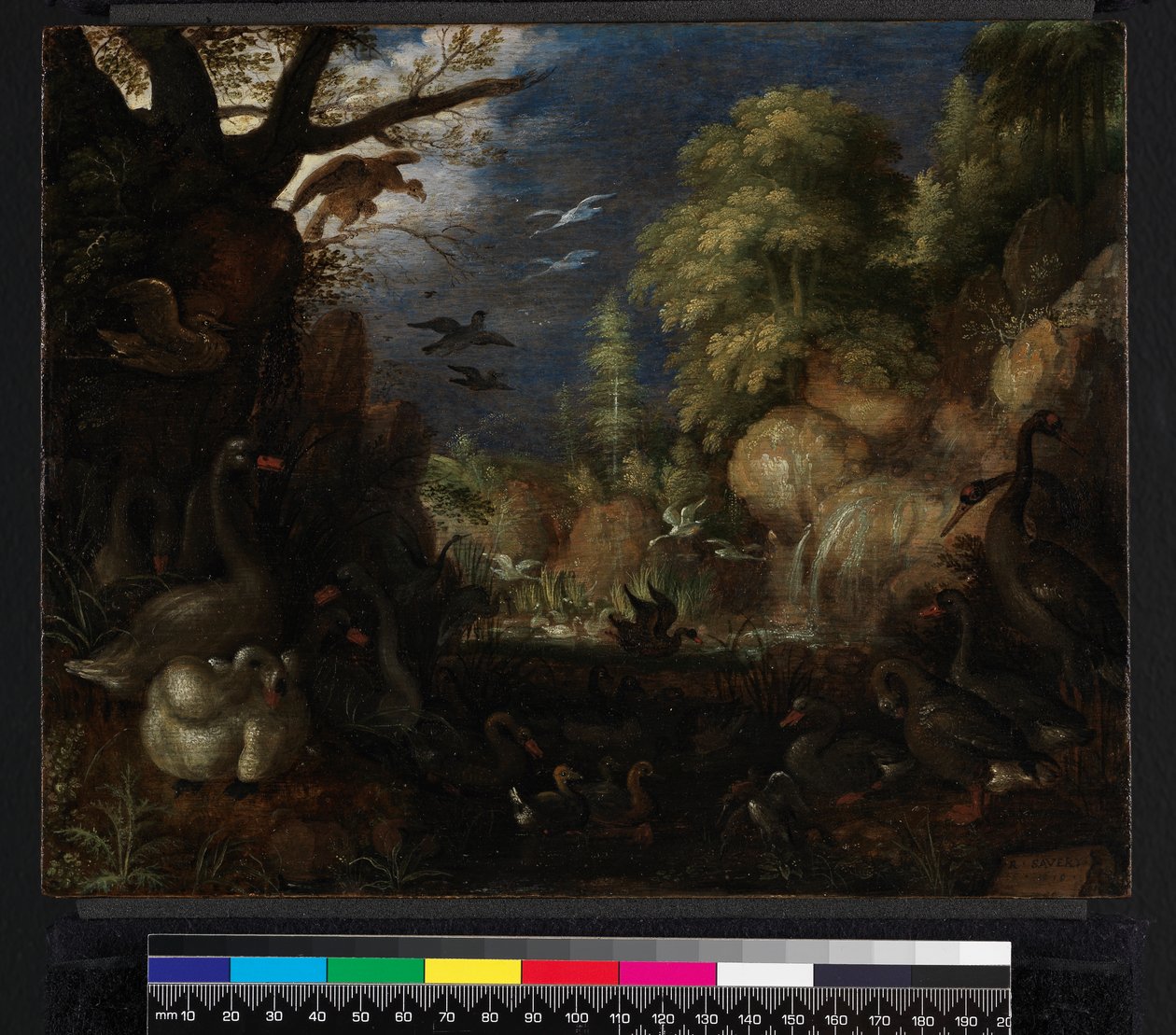 Die Erschaffung der Vögel, 1619 von Roelandt Jacobsz. Savery