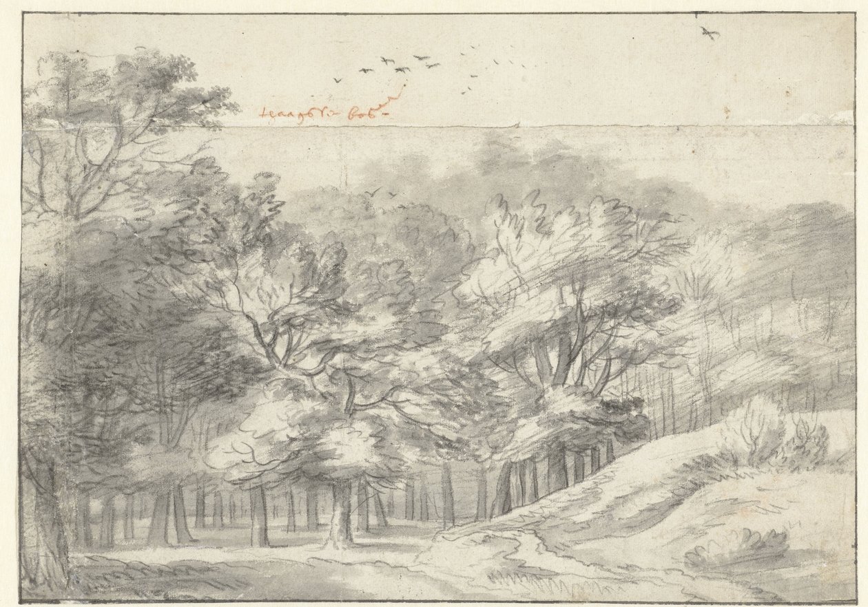 Ansicht im Haagse Bos von Roelant Roghman