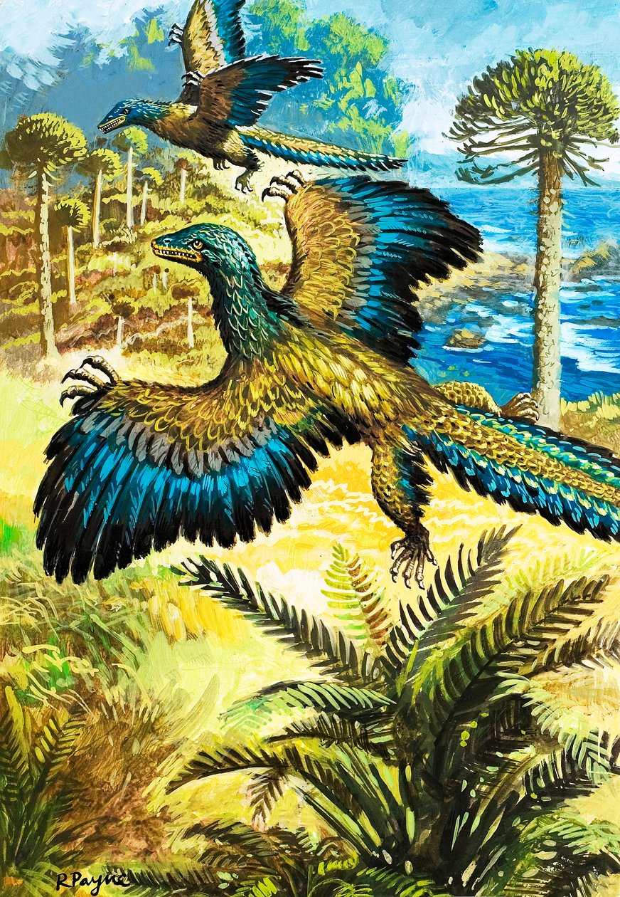 Archaeopteryx von Roger Payne