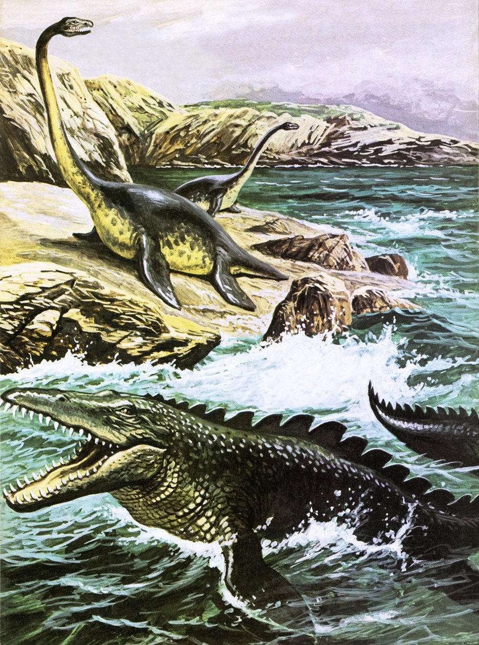 Plesiosaurus (oben) und Tylosaurus (unten) von Roger Payne
