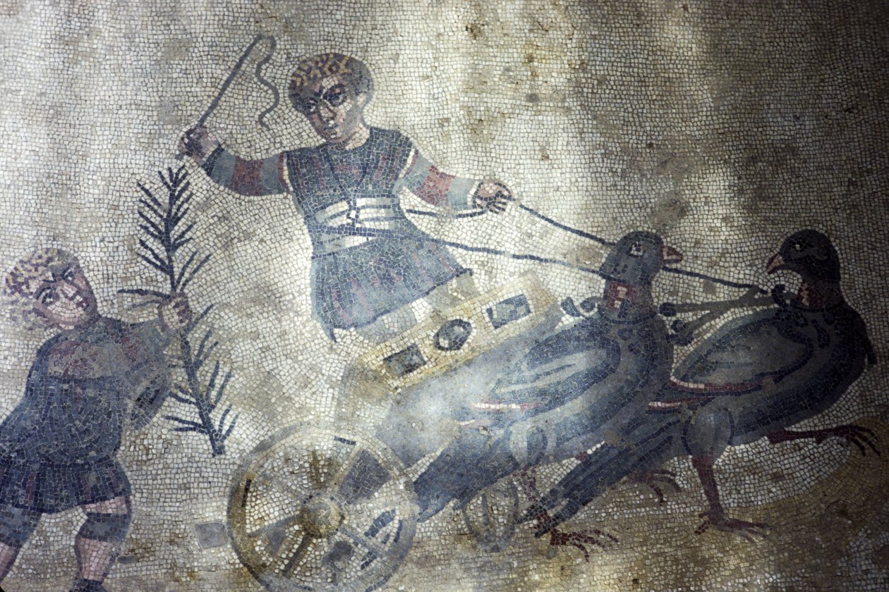 Vogelwagenlenker (Mosaik) von Roman