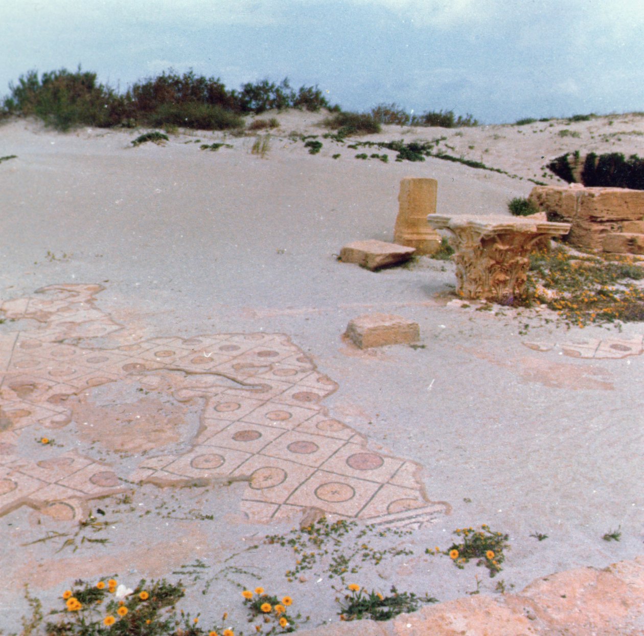 Ausgrabungen in den Dünen von Roman