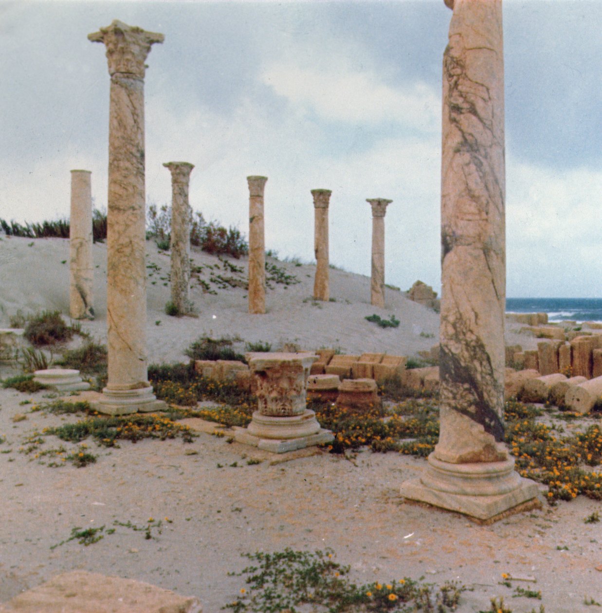 Ausgrabungen in den Dünen von Roman