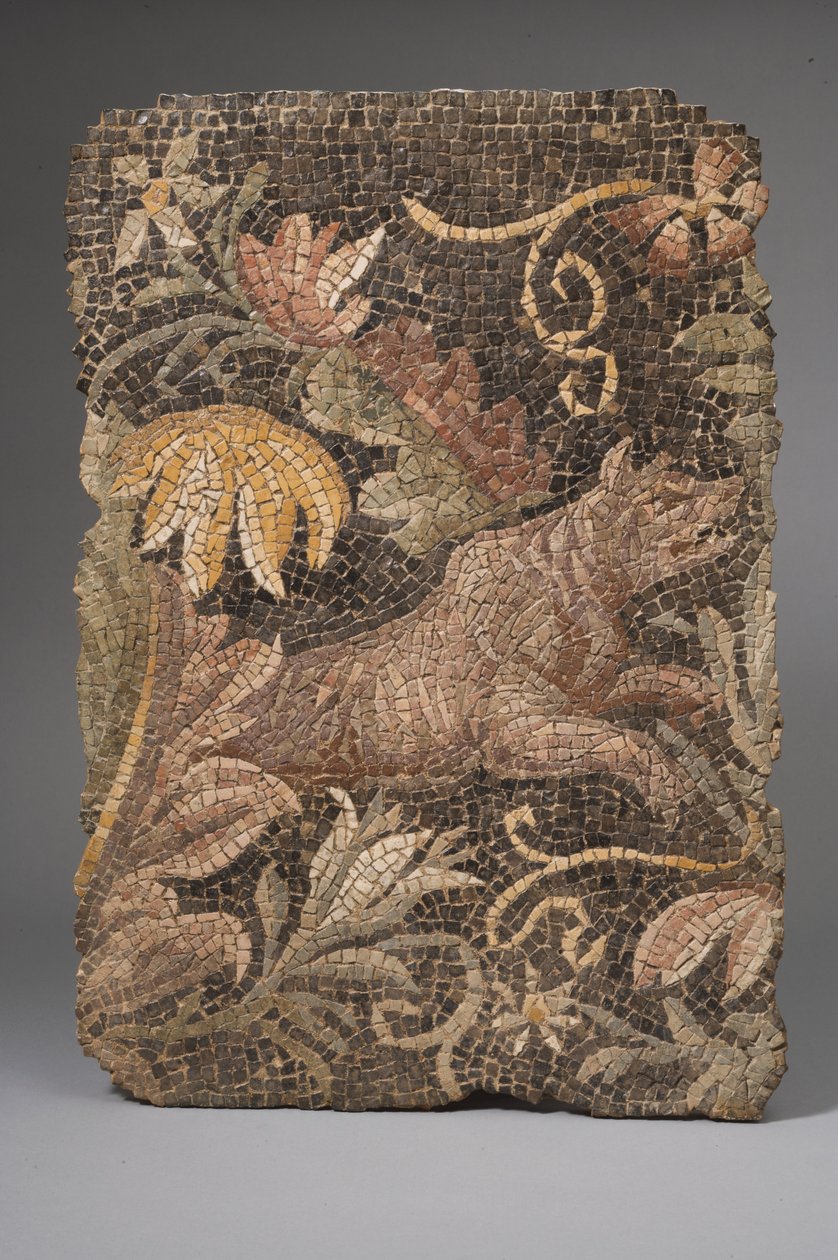 Fragment eines Mosaiks, das einen Wolf darstellt (Mosaik) von Roman