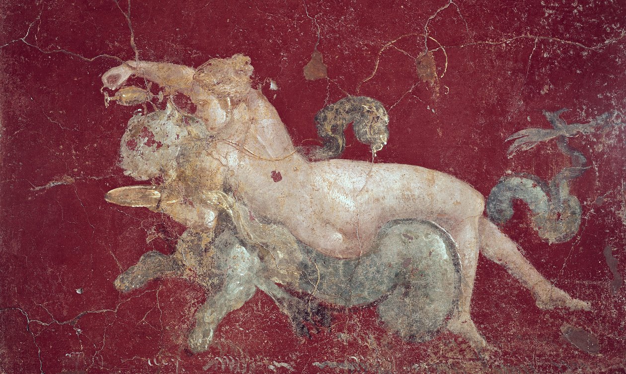 Nereide reitet auf einem Seetiger, aus Stabiae, vor 79 n. Chr. von Roman
