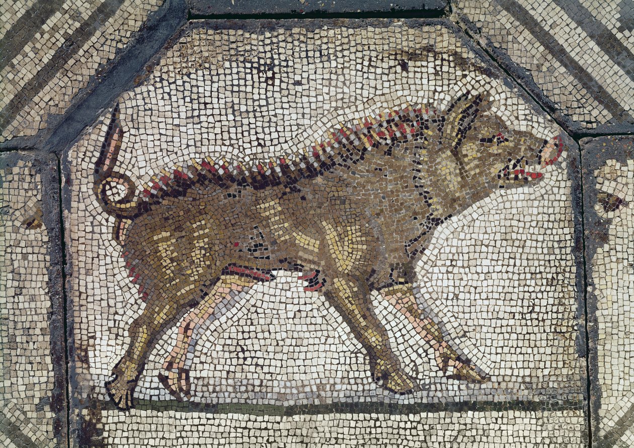 Orpheus bezaubert die Tiere (Detail eines Wildschweins) von Roman