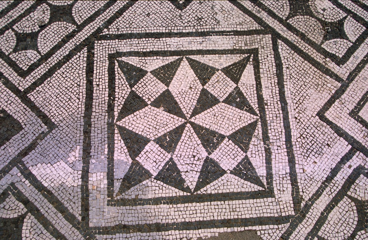 Gemusterter Boden von Roman