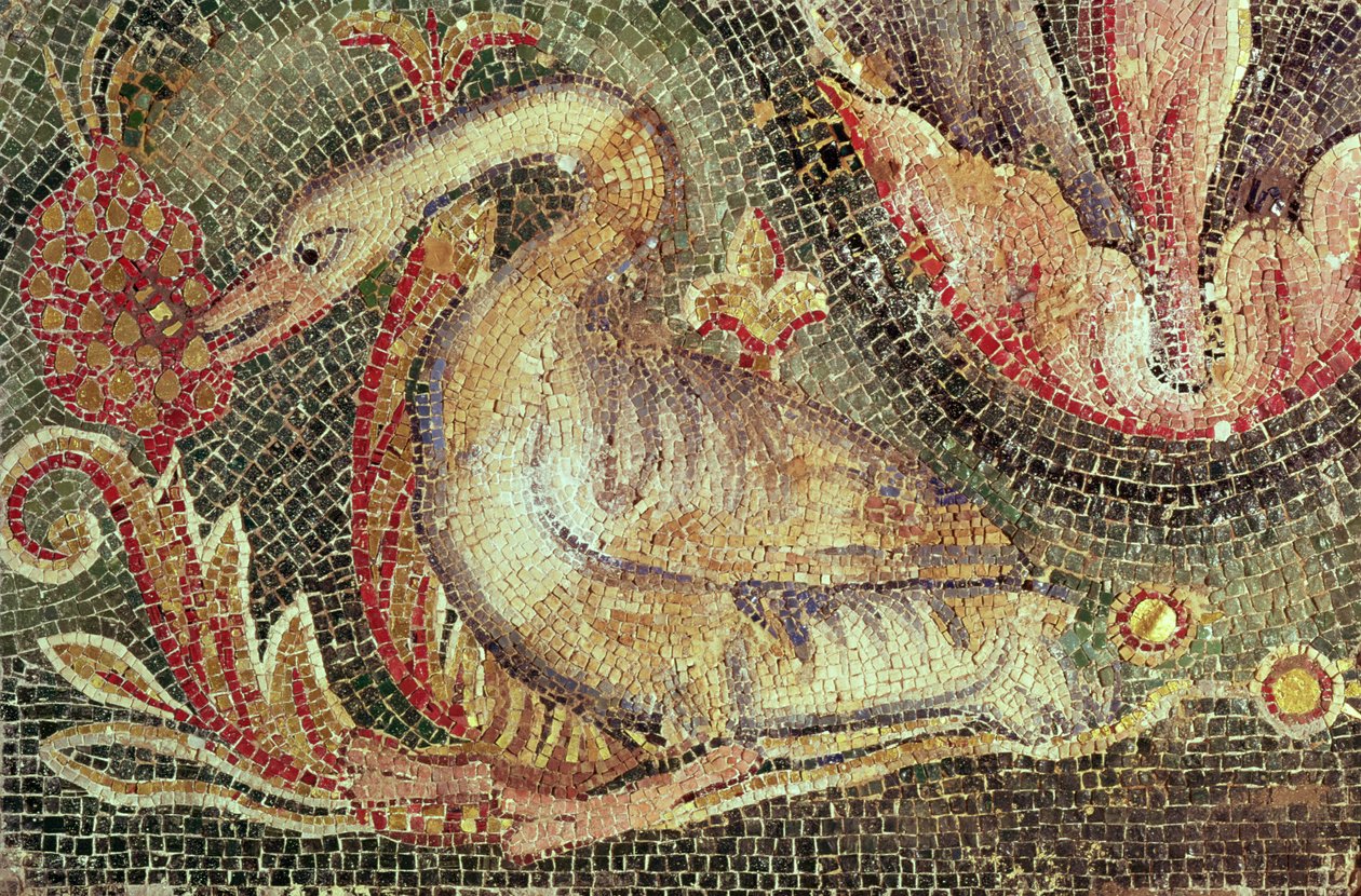 Schwan, restauriert um 1200 von Roman