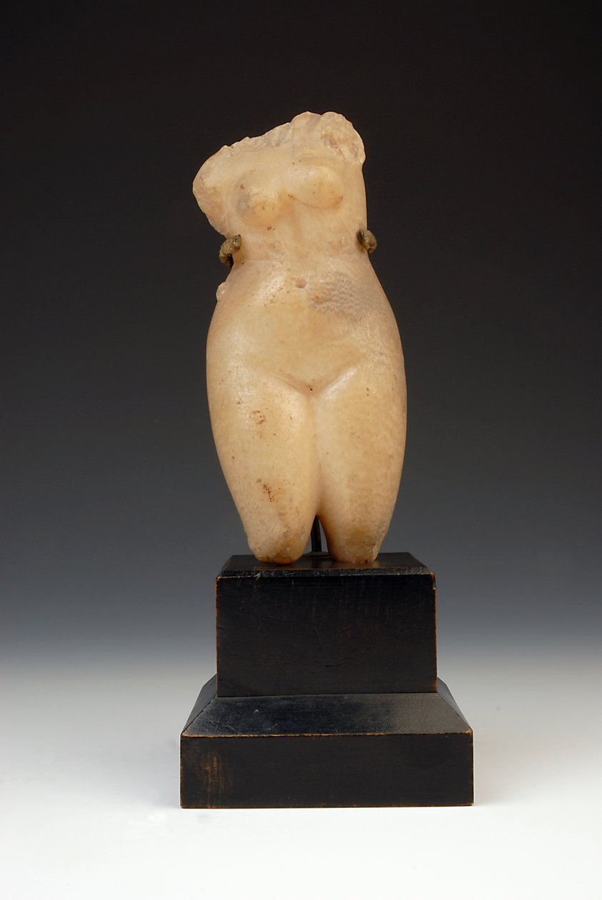 Torso einer nackten Frau von Roman