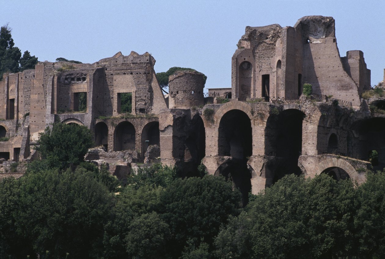 Ansicht des Palatin vom Circus Maximus von Roman