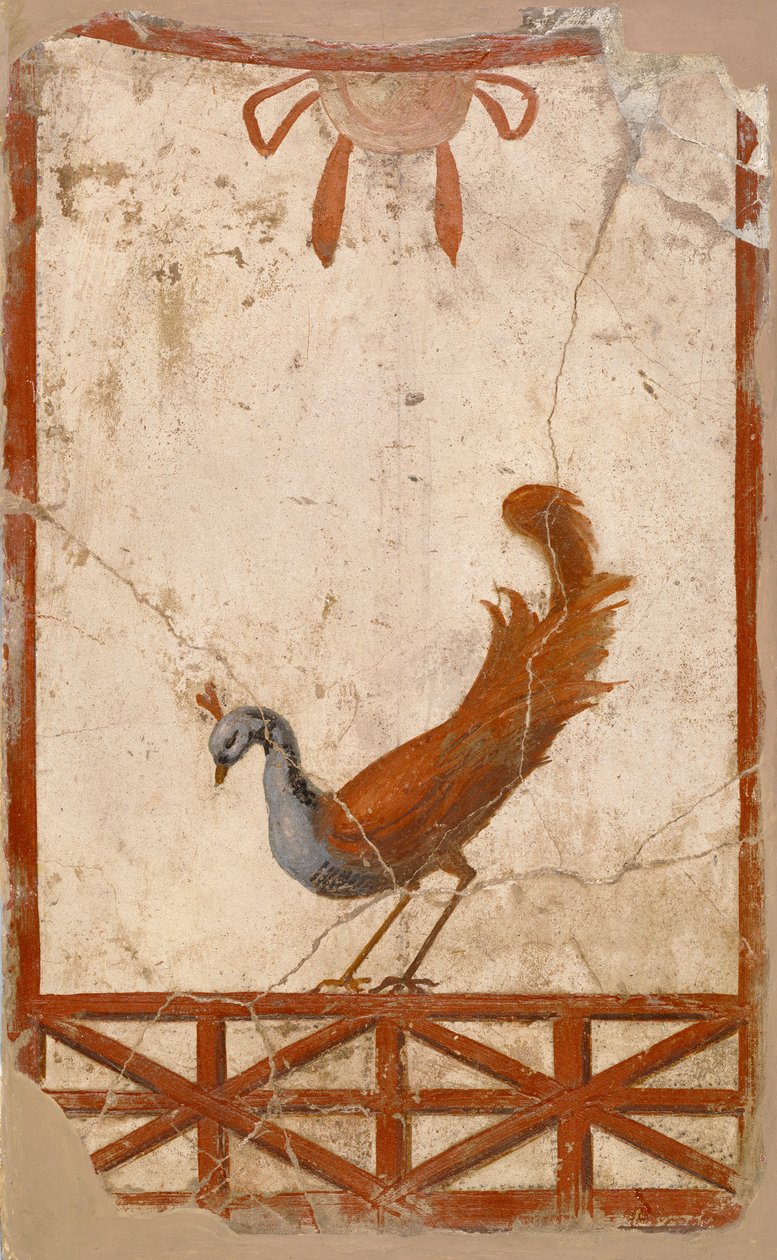 Wandfragment mit Pfau, 1. Jahrhundert von Roman