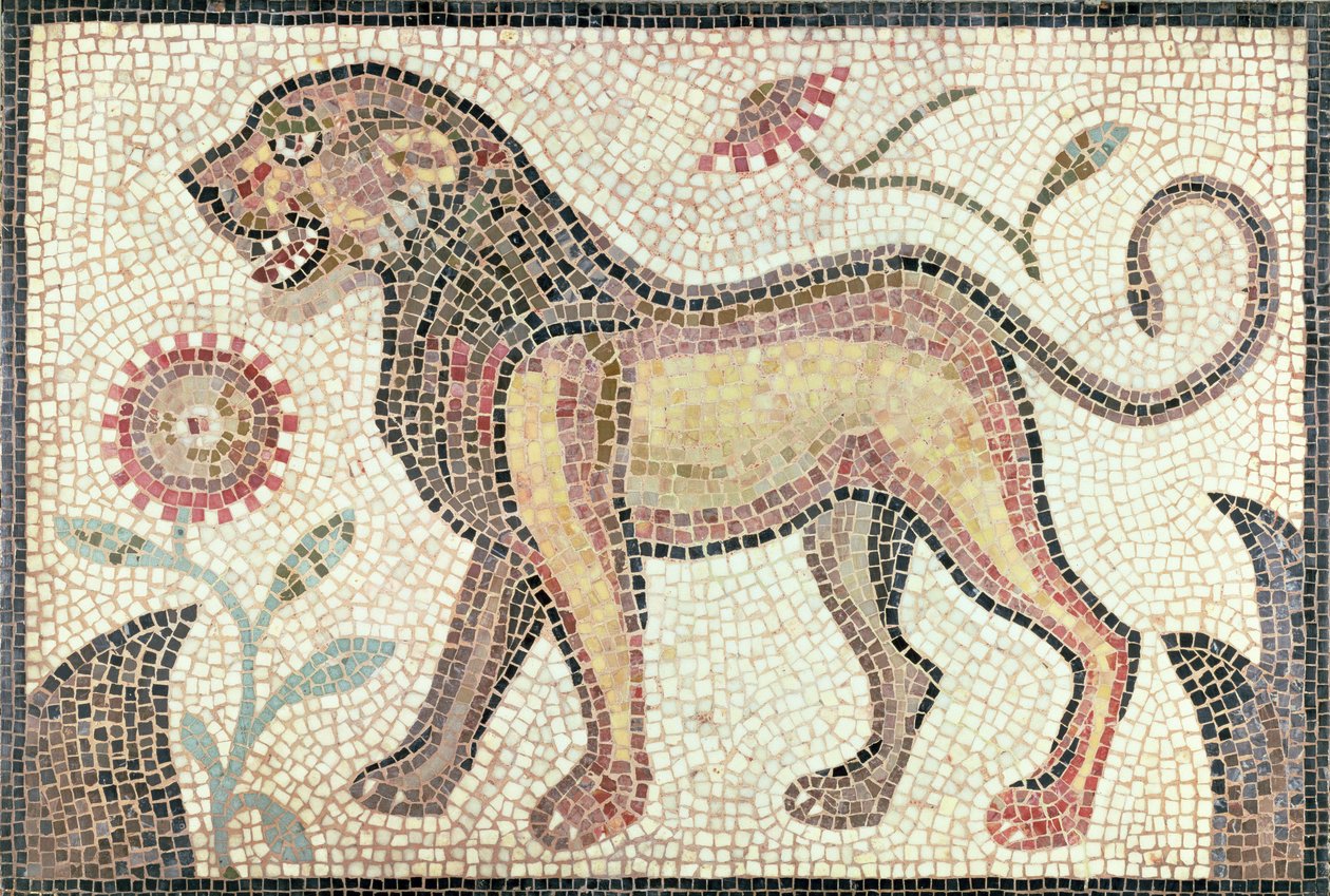 Löwe, aus Tunis, wahrscheinlich spätes 5. Jahrhundert n. Chr. von Roman Roman