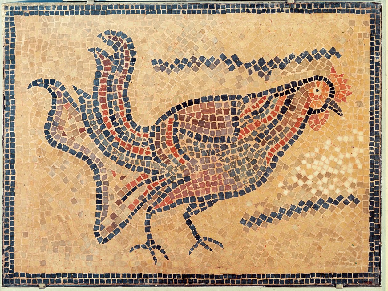 Hahn, aus Tunis, wahrscheinlich spätes 5. Jahrhundert n. Chr. von Roman Roman
