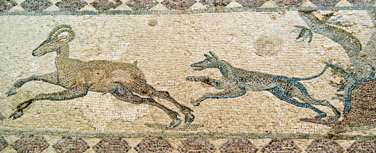 Jagdszene, Haus des Dionysos, Paphos, Zypern von Roman