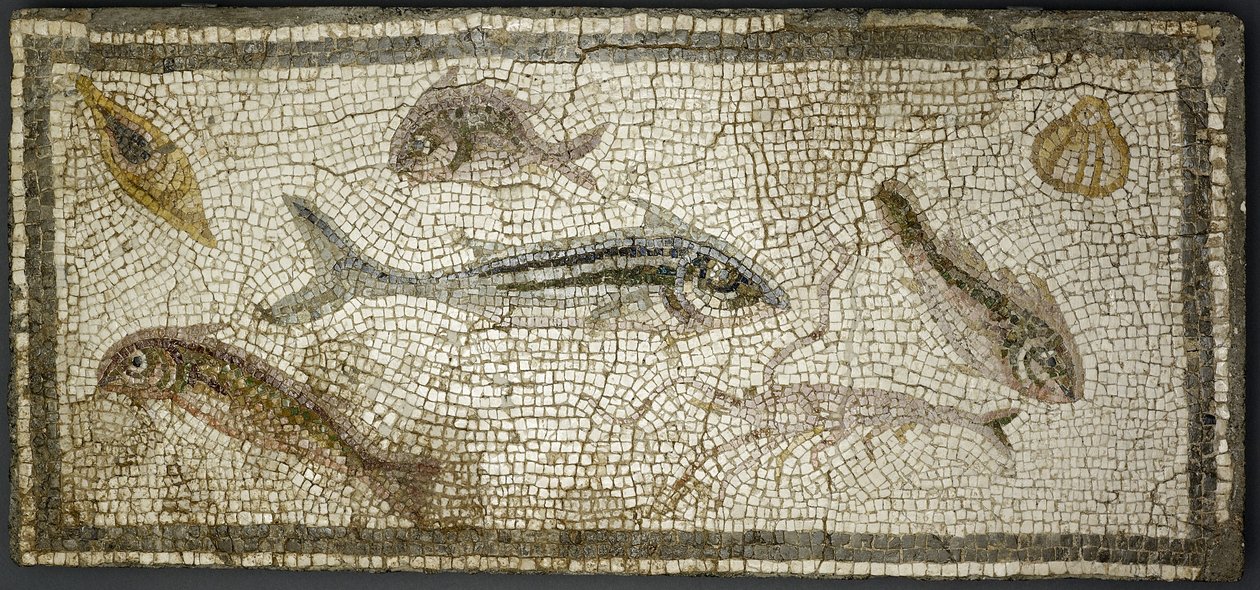 Mosaiktafel mit Fischen, wahrscheinlich 3. Jahrhundert n. Chr. von Roman
