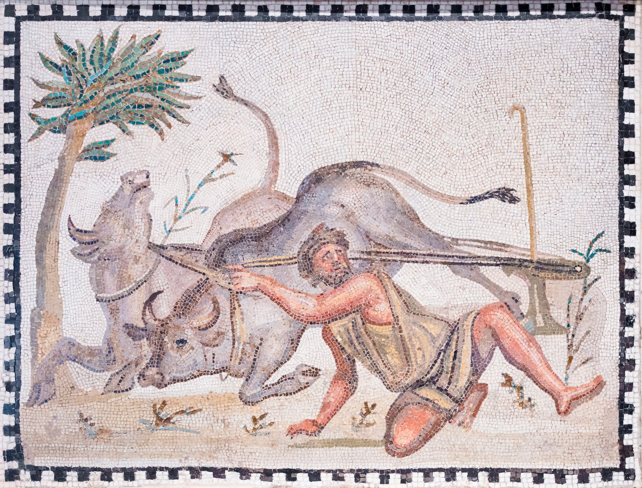 Der Pflüger mit Ochsen, 3.-4. Jahrhundert (Mosaik) von Roman