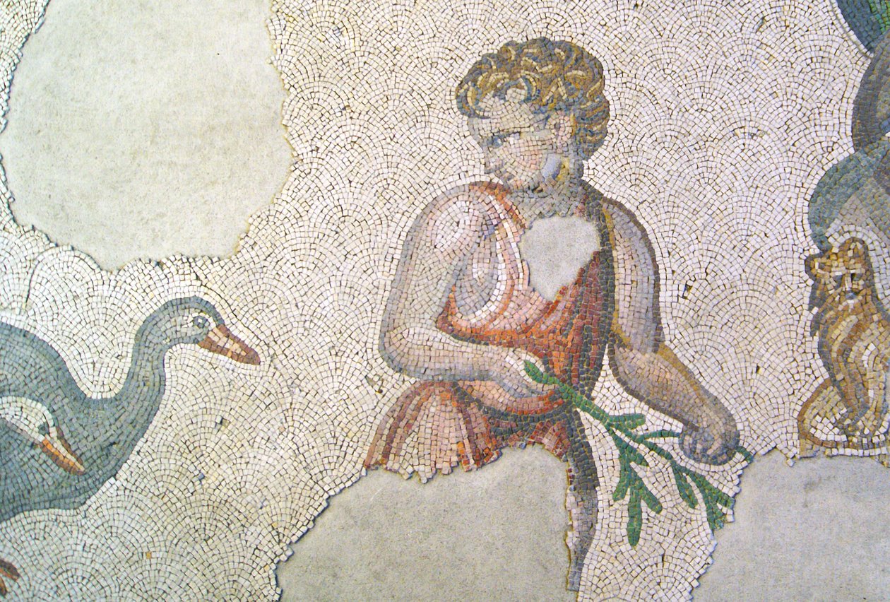 Unbekanntes Bild von Roman