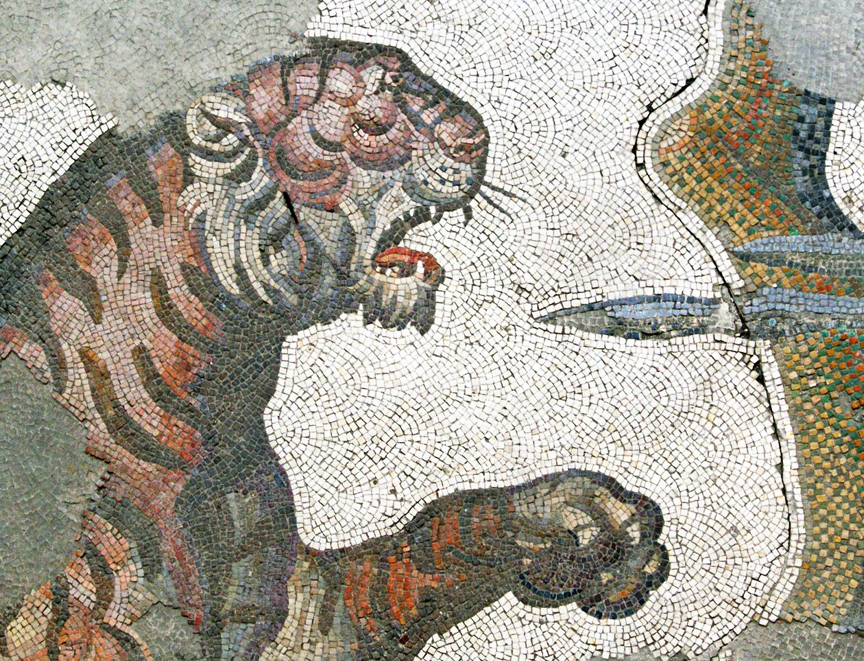 Unbekanntes Bild von Roman