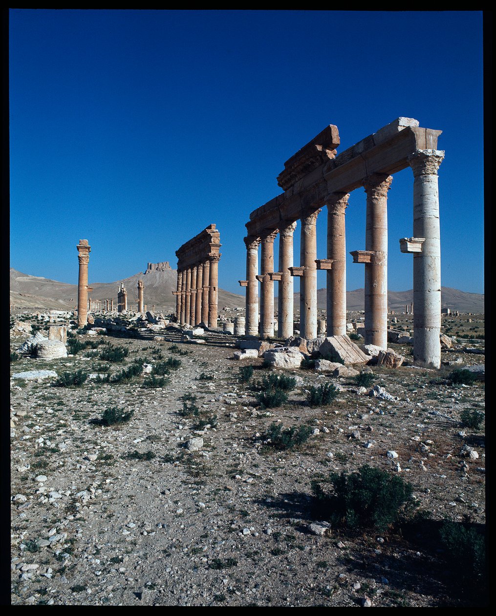 Ansicht der Überreste von Palmyra von Roman