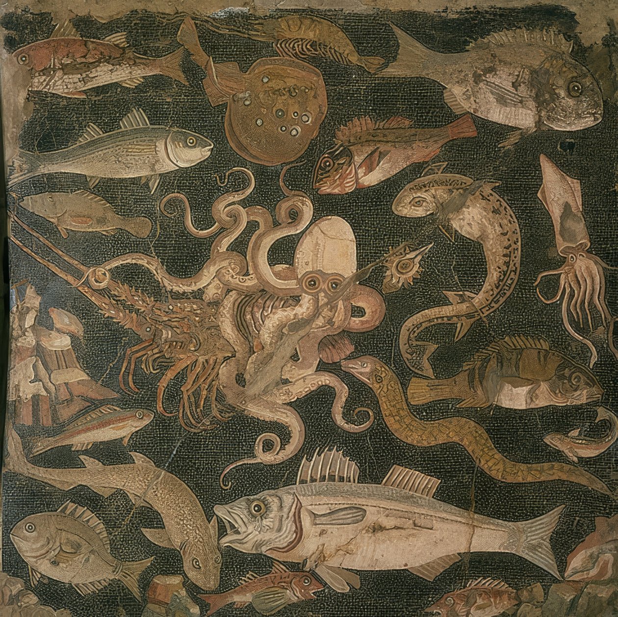 Wassertiere, Kampf zwischen einem Tintenfisch und einem Hummer von Roman