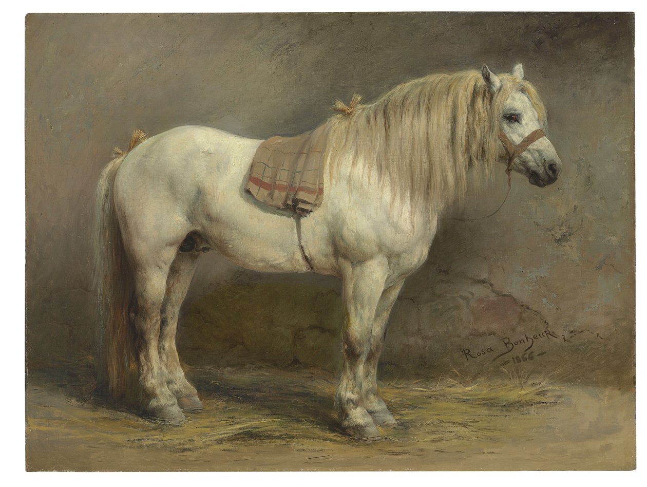 Ein weißes Pferd von Rosa Bonheur