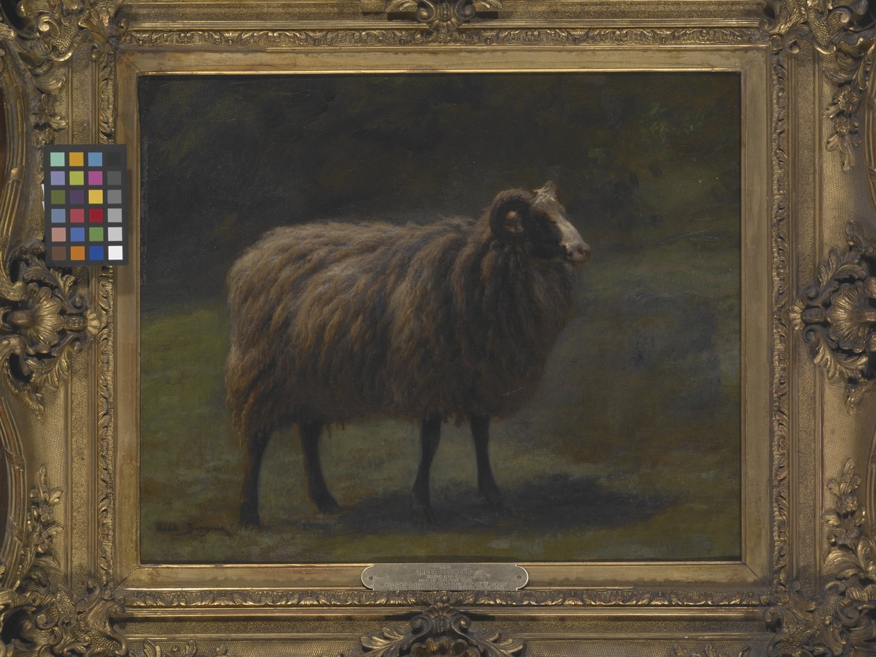 Widder von Rosa Bonheur