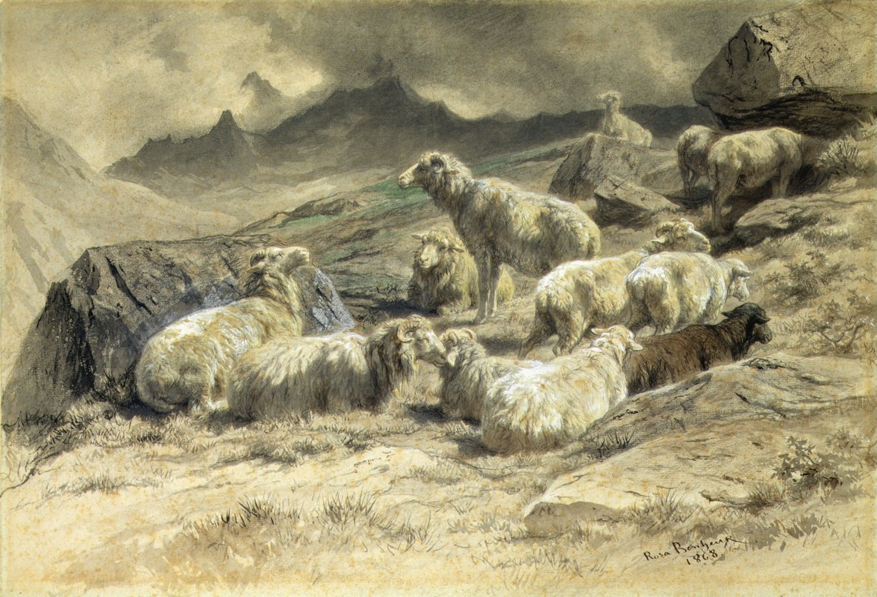 Schafe von Rosa Bonheur
