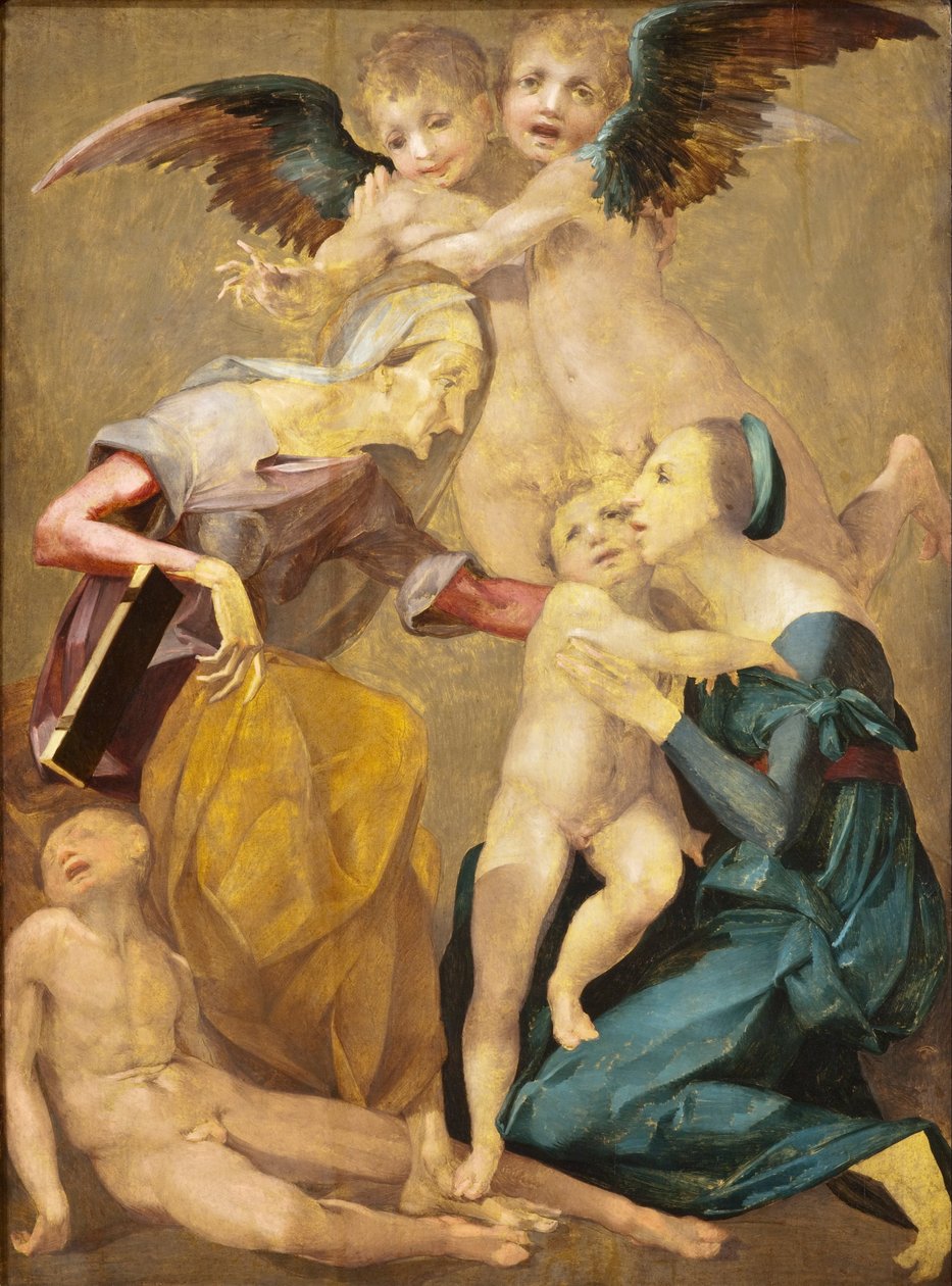 Allegorie des Heils mit der Jungfrau und dem Christuskind, St. Elisabeth, der junge St. Johannes der Täufer (Detail) von Rosso Fiorentino