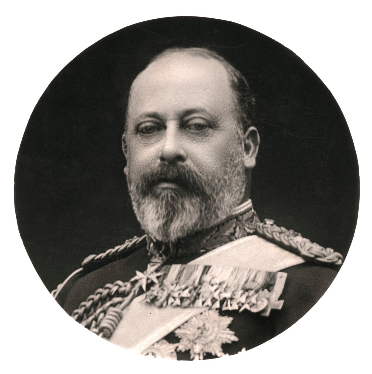 König Edward VII. von Rotary Photo