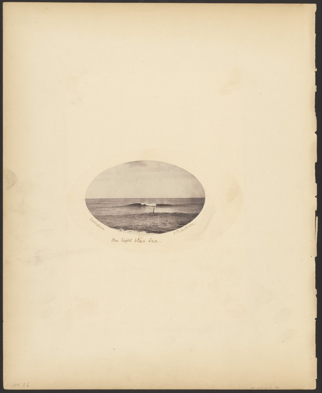 Das hellblaue Meer von S. P. Jackson