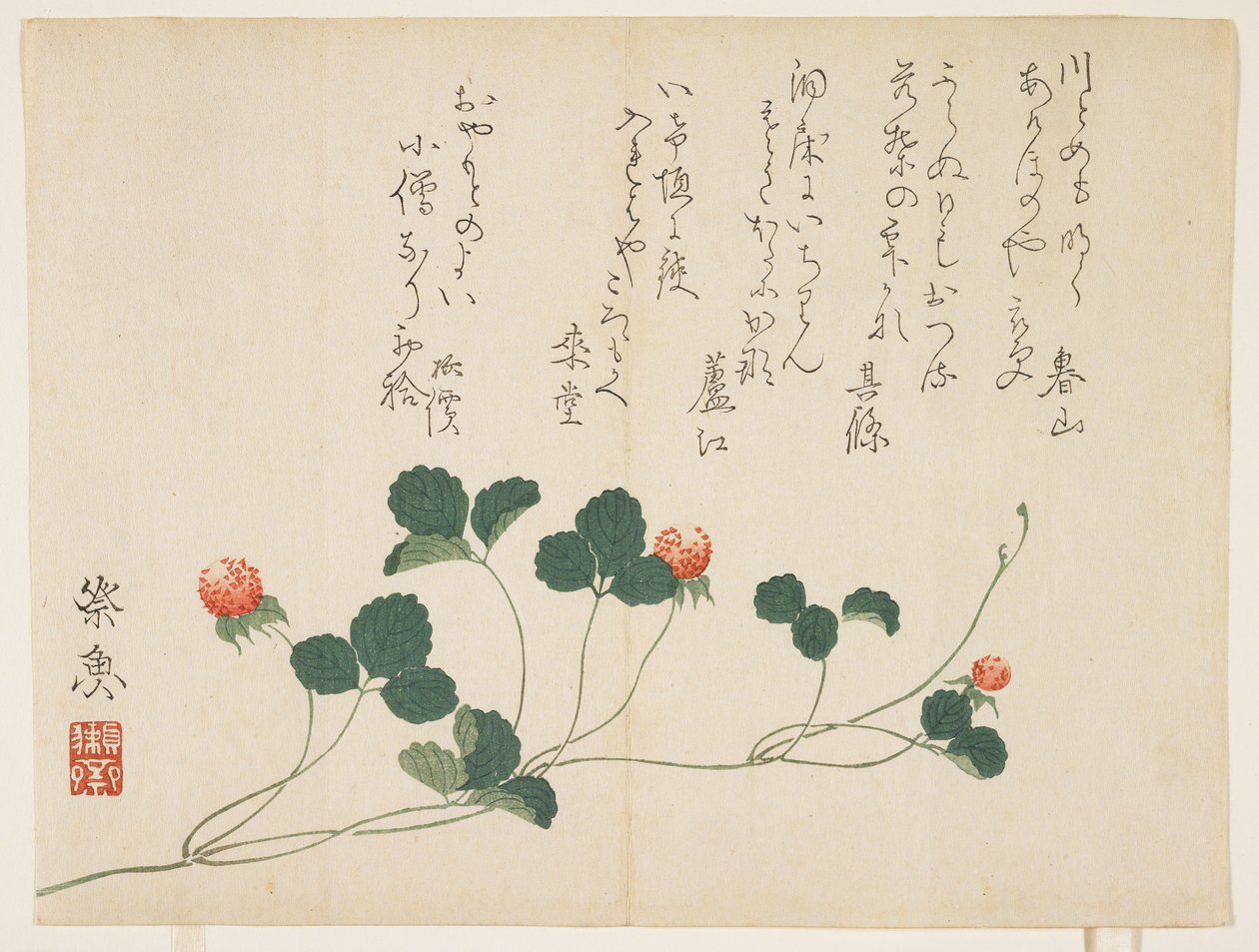 Himbeeren von Saigyo