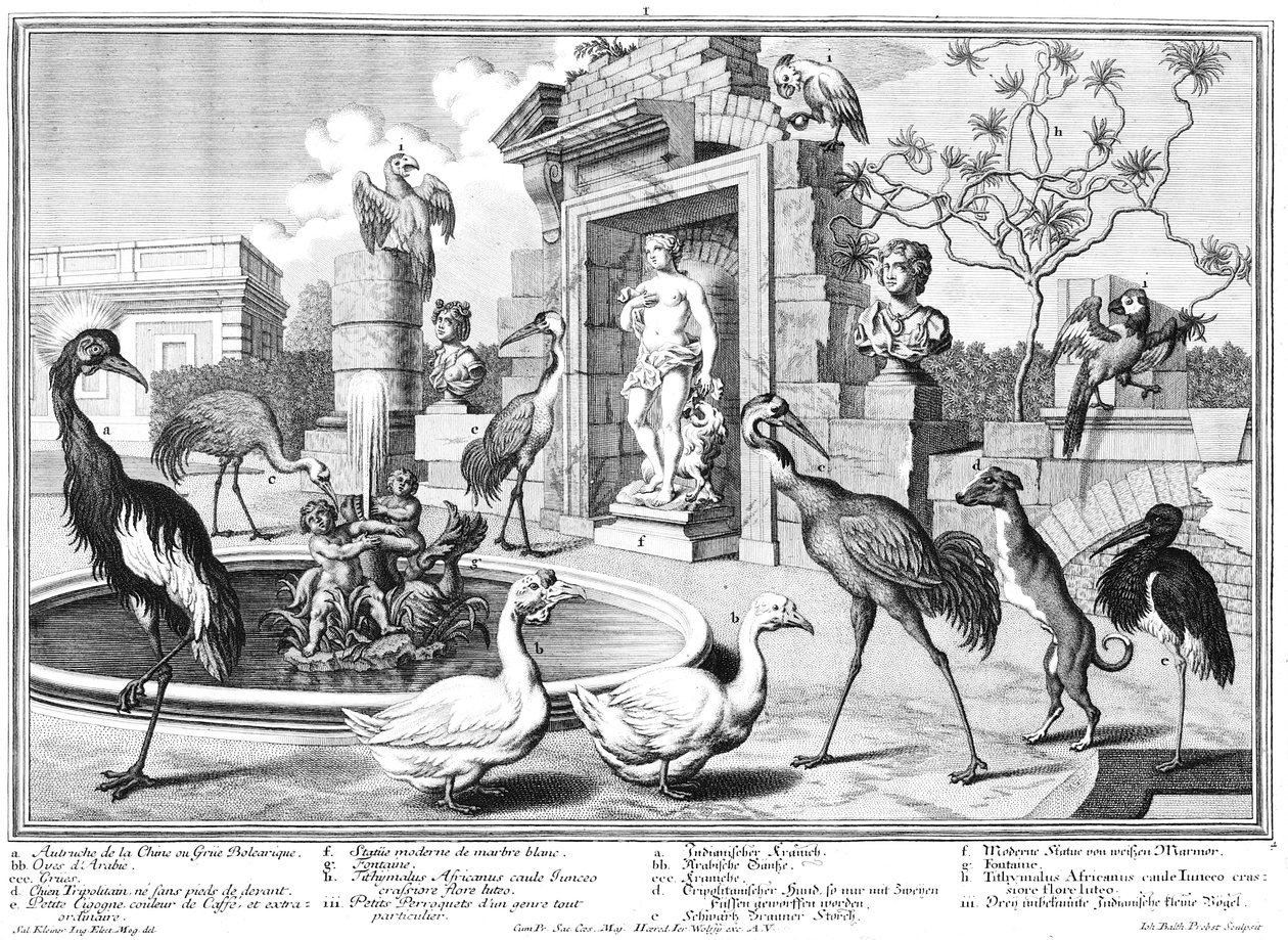 Kraniche und Enten von Salomon Kleiner