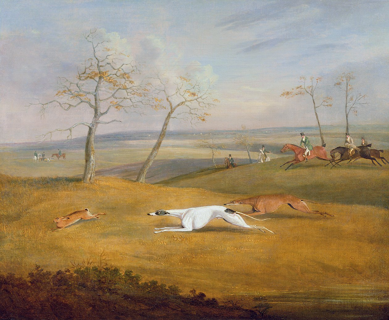 Coursing: die Jagd von Samuel Henry Alken