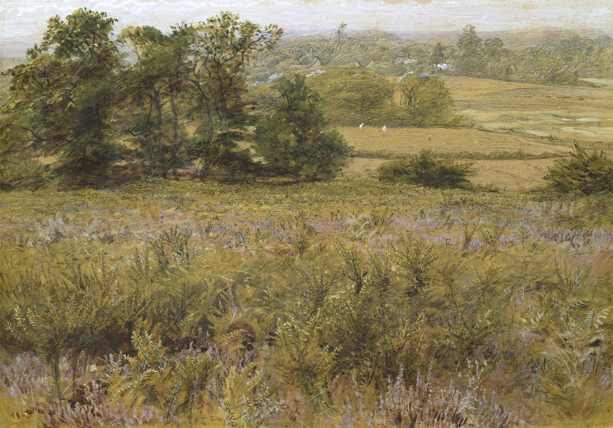 Das Ginsterfeld, 19. Jahrhundert von Samuel Palmer