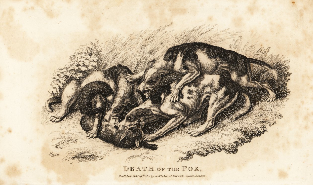 Tod des Fuchses von Samuel (after) Howitt