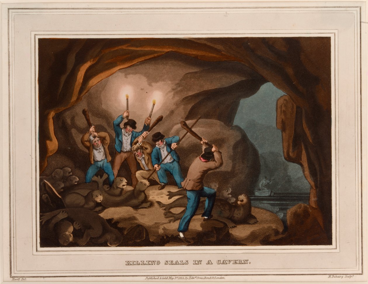Tötung von Robben in einer Höhle von Samuel (after) Howitt