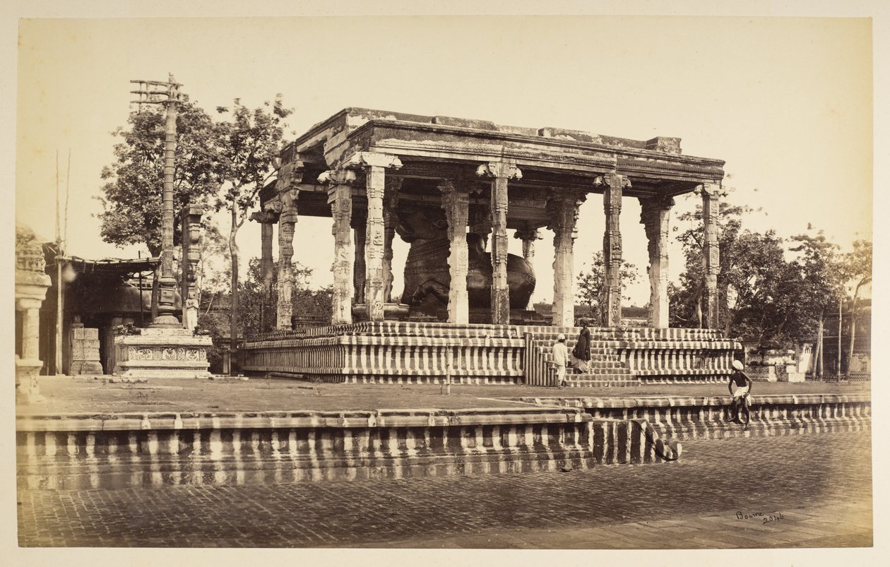 Der große Steinbulle, Tanjore von Samuel Bourne