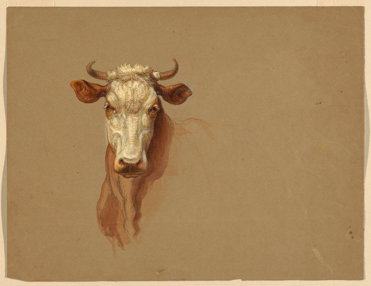 Zeichnung, Zwei Studien. Vieh, 1876 von Samuel Colman
